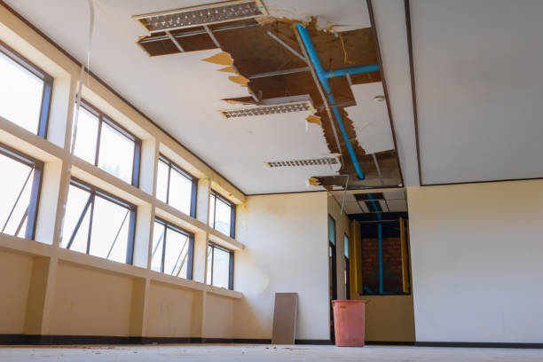 Best Carpet water damage restoration  in Alexandria, IN