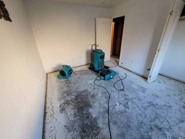 Best 24-hour water damage restoration  in Alexandria, IN