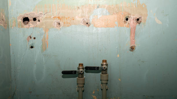 Best Water damage restoration experts  in Alexandria, IN