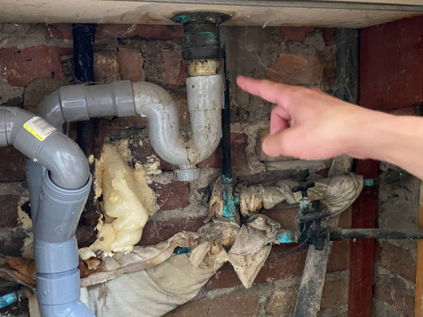 Best Water damage contractors near me  in Alexandria, IN