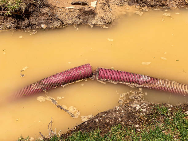 Best Flood damage cleanup  in Alexandria, IN