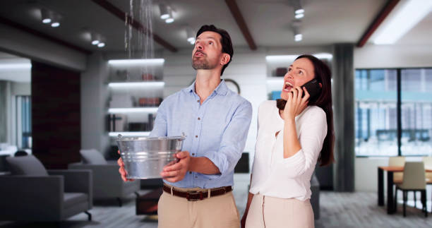 Best Residential water damage restoration  in Alexandria, IN
